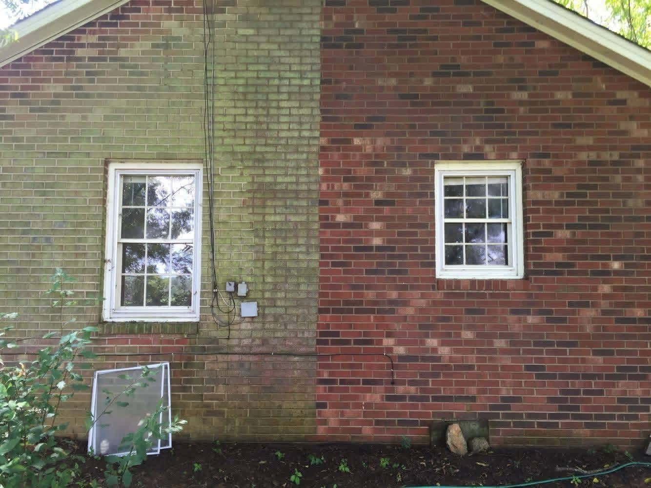 Brick wall half green with algae and half washed back to red brick