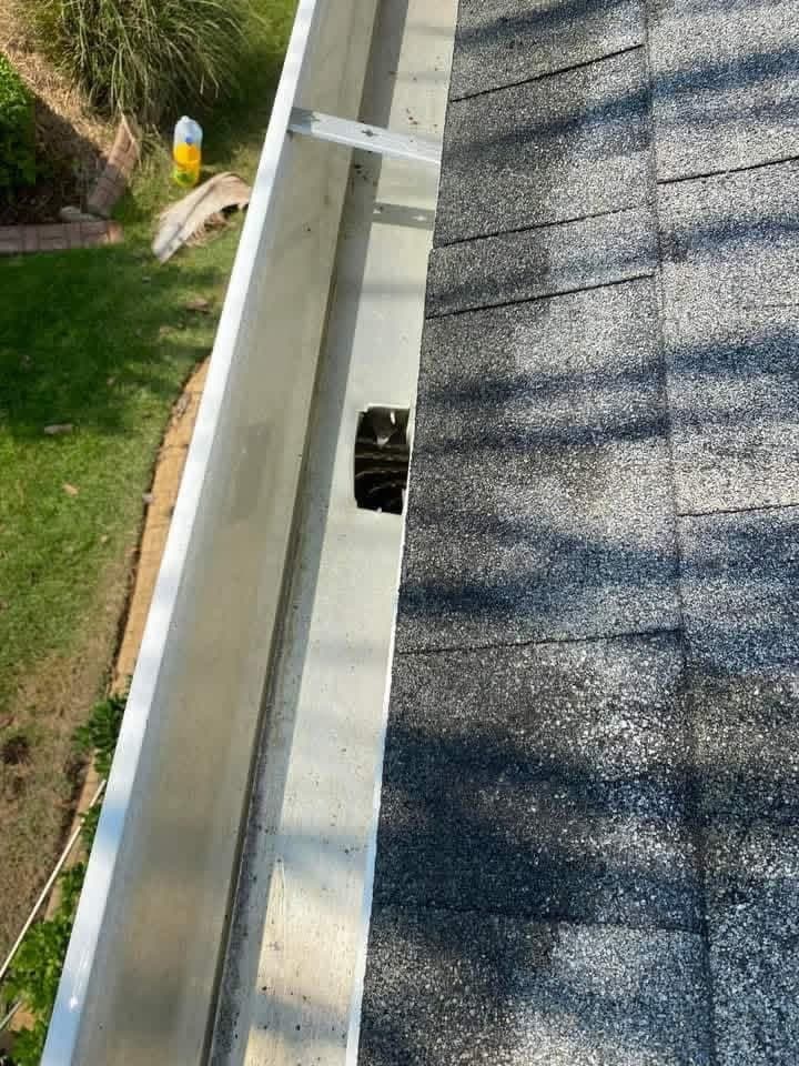 The same gutter cleared and rinsed, the downspout opening visible