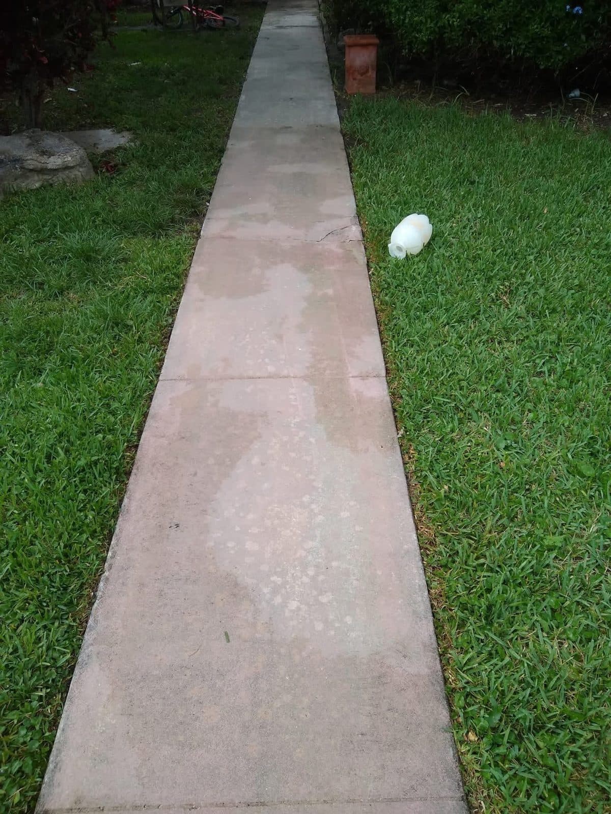 The same concrete front walk after cleaning, the slab back to its original colour